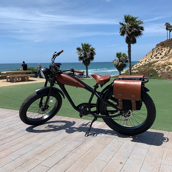 The Bad Ass Bike