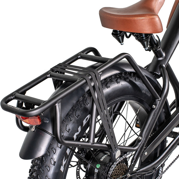 The Bad Ass Bike