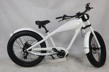 The Bad Ass Bike