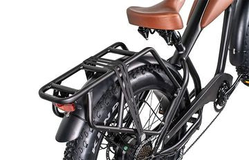 The Bad Ass Bike