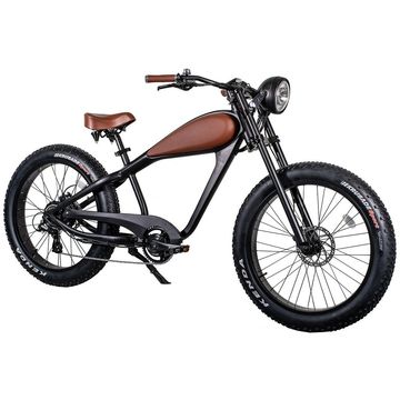 The Bad Ass Bike