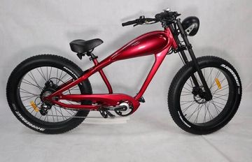 The Bad Ass Bike